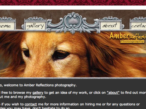 Amber Reflections Website
